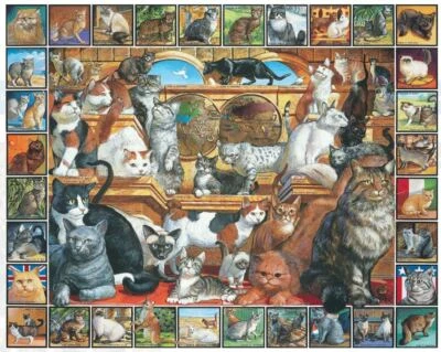 WMP White Mountain Puzzles World of Cats 1000 Teile Puzzle 760 mm x 610 mm