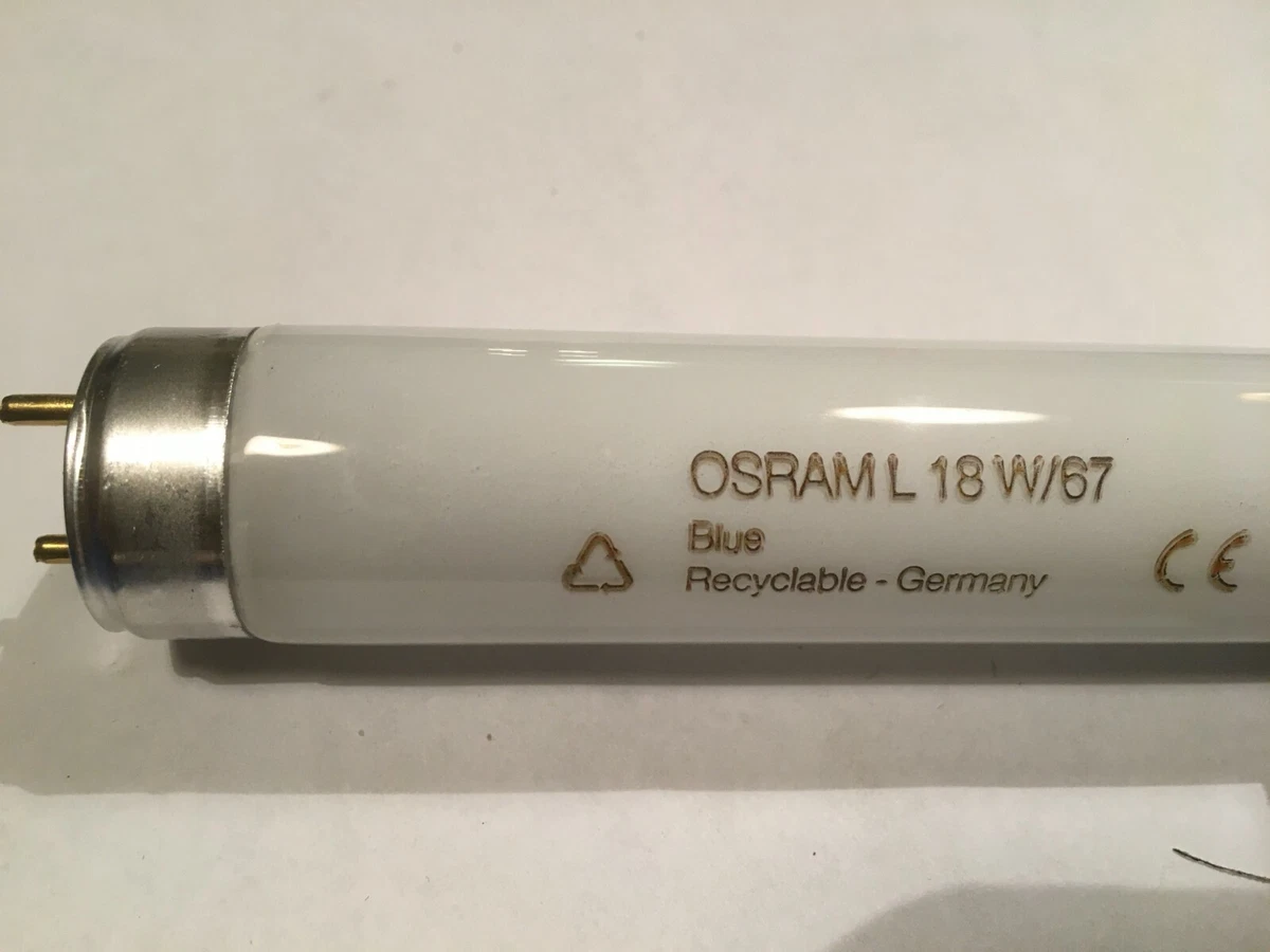 Osram Fluorescent Lamp L 18 67 Blue T8 60cm Lamp Tube Fluorescent