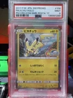 Pokemon Pikachu Summer Festa Gym Promo 108/SM-P PSA 9