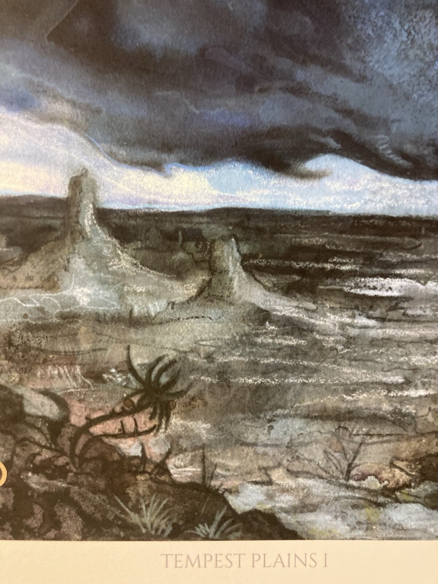 MTG✨Artist Signed PLAINS-Ant Hill ART PRINT & CARD✨Tempest Land