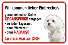 Schild S0532 - Vorsicht Malteser - Einbrecher 15x20 bis 40x60cm Hund Türschild
