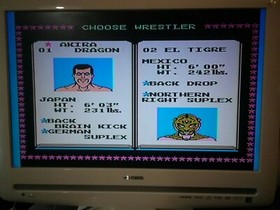 Tecmo World Wrestling, (Nintendo, Nes) Videojuego e Instrucciones