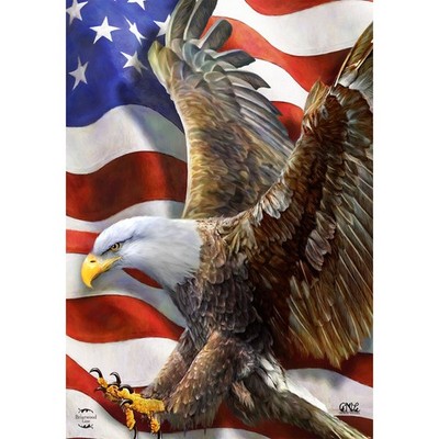 Briarwood Lane Everyday American Freedom Eagle Garden Flag 12x18