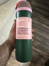 Owala FreeSip Forest Fairy Stainless Steel 24oz Water Bottle, BPA-Free