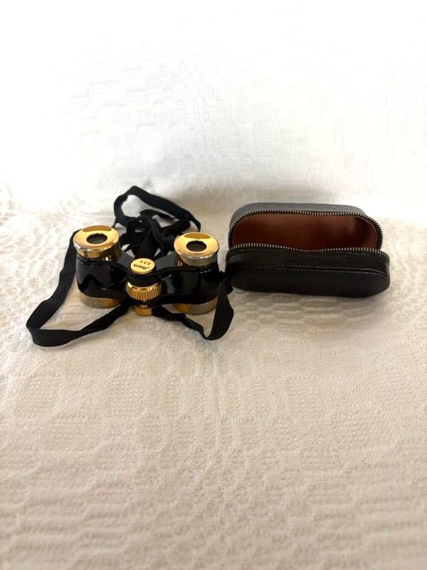 SMALL BINOCULARS/OPERA GLASSES - JASON 2.5X JAPAN - LEATHER CASE - PASSED EGMCJ
