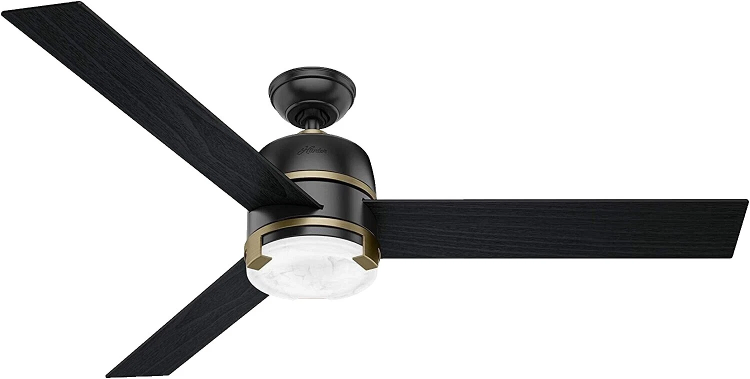 Hunter Brass Black Ceiling Fans