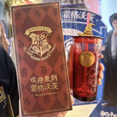 Hot Harry Potter Naixue x Hogwarts Magic Hat Topper 17oz Glass Straw Cup Tumbler