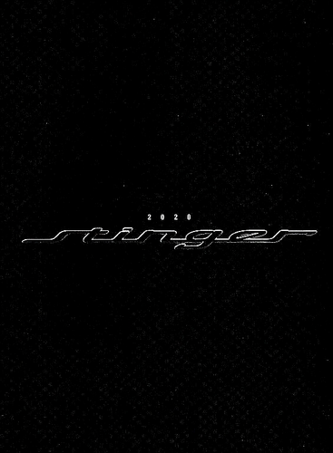2020 KIA STINGER GRAN TURISMO SEDAN—38 PAGE U.S. DEALER SALES BROCHURE—NEW NOS - 第 1/1 張圖片
