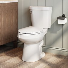 HOROW Two Piece Toilet Elongated 1.0 GPF Single Flush with 17'' ADA Chair Height