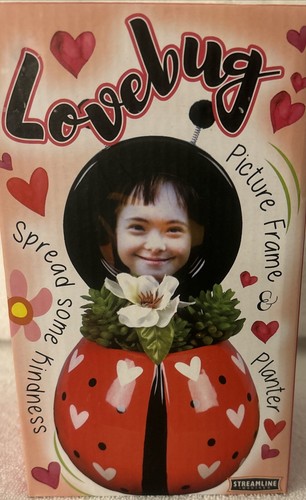Love Bug Succulents Planter Red Heart