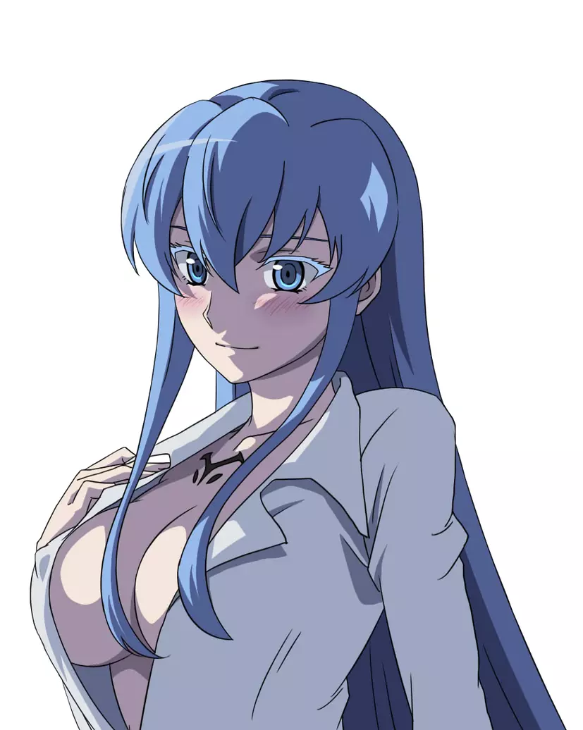 Akame Ga Kill!: Esdeath Paperized