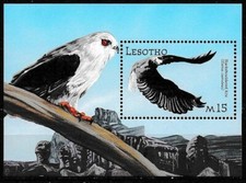 Lesotho 2001 Wildlife MS SC# 1306 MNH Mint/Never Hinged