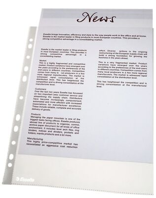 Esselte 56066 Prospekthülle Standard, A4, PP, dokumentenecht, 100 Stück, glaskla