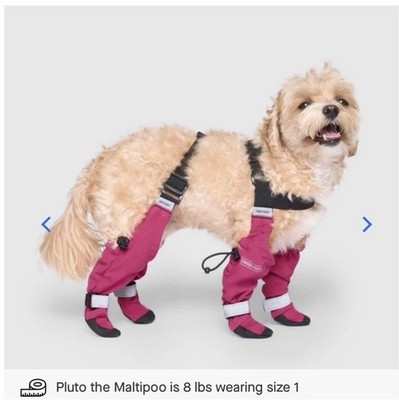 Canada Pooch Suspender Boots Pink Size 4 Short Water-Resistant Reflective