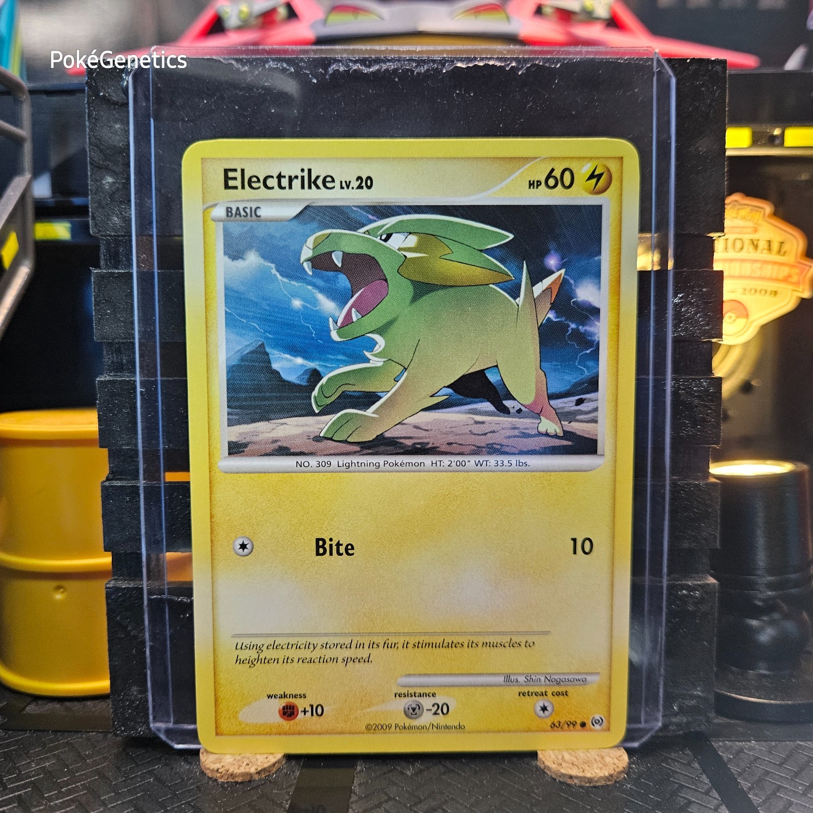 Electrike Arceus Pokémon TCG 63/99 Platinum Common