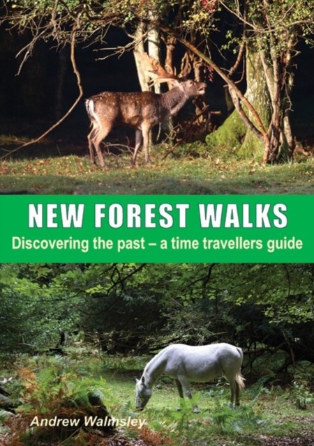 New Forest Walks by Andrew Walmsley PAPERBACK 9781850589112