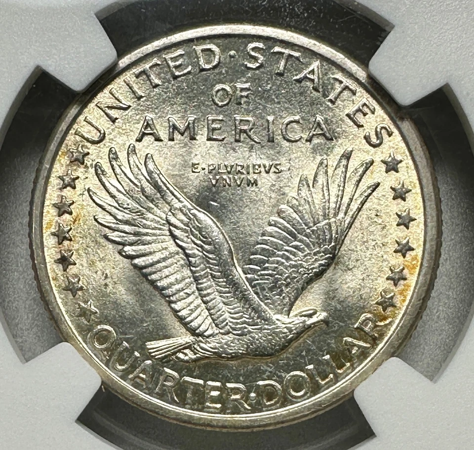 1917-D TYPE 1 STANDING LIBERTY QUARTER NGC MS64 FH NEAR GEM FULL HEAD - Image 4 of 4