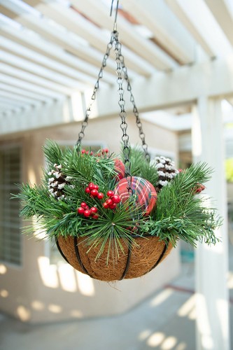 Flora Bunda 13" Christmas Arrangement in XAMS Hanging Basket - Bild 6 von 6