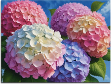 Paint by Numbers Oil Painting Kits for Adults DIY Hydrangea Flowers Canvas Oil P