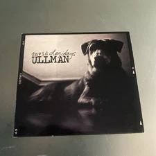 David Ullman Dog Days CD 💿 Cleveland OHIO RARE INDIE Excellent