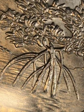 2020 p salt river bay Washington quarter feeder finger scrape mint error variety