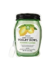Sunny Valley Orchard 24 oz. Foaming Toilet Cleanser - Lemon Cider Vinegar