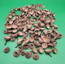 150 Acorn Caps Sm-Med Fall Decor Craft Heat Cured 2025 Season