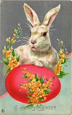 Dr Jim Stamps Easter Rabbit Postcard With Flowers And Red Egg Design Undated