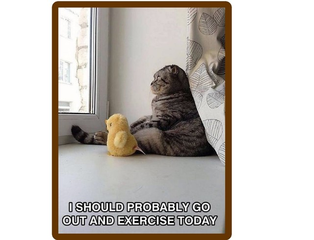 Funny Outside Cat Refrigerator Tool Box File Cabinet Magnet For Sale Online Ebay