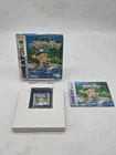 NINTENDO GAME BOY GAMEBOY COLOR Legend of the River KING 2 EUR BOITE BOXED GB36