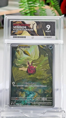 Ace 9 Pokémon TCG 2025 Black Bolt Venipede Illustration Rare #132