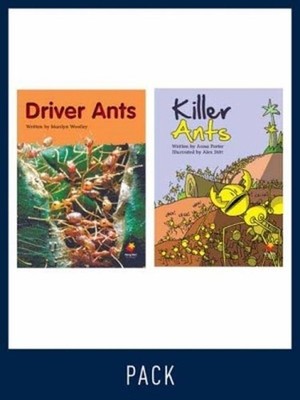 Flying Start Guided Reading Level 20, Pack 4: Paired student books (6x6) and les
