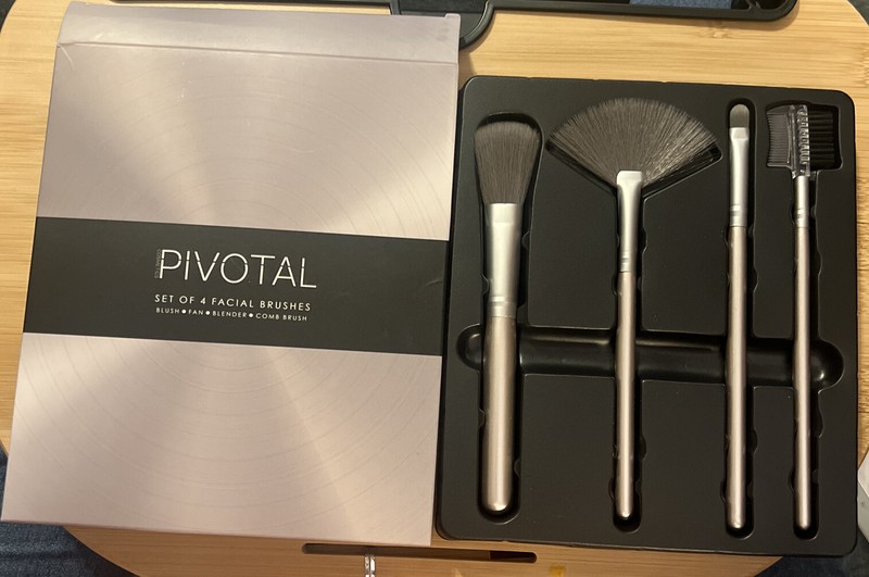 NEW Set of 4 Pivotal Facial Brushes ~ Blush Fan Blender & Comb Brush