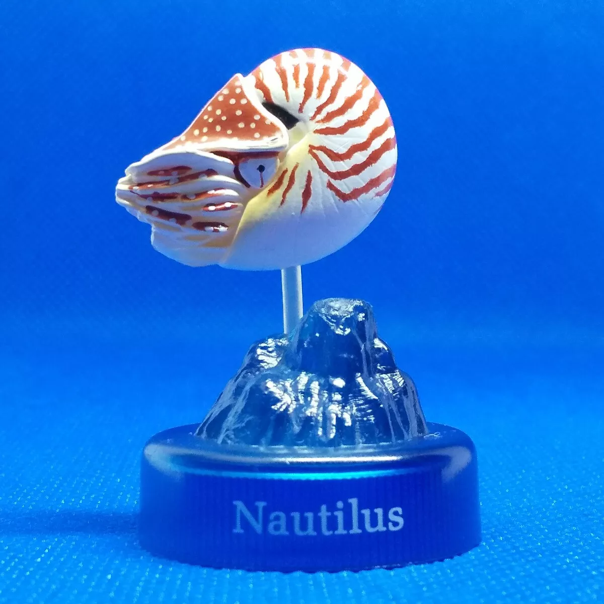 Deep sea clearance nautilus
