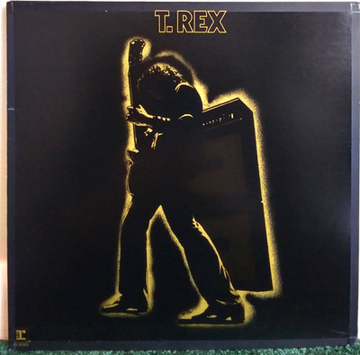 T. Rex   Electric Warrior Vinyl 1980's LP - Reprise Records   RS 6466 - Rock
