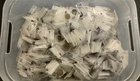 Wheat Cents-Approximately 1,600 of them!