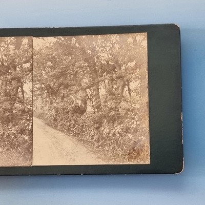 Herne Bay Stereoview um 1905 Echtfoto Kent Studie einer ländlichen Gasse