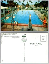 Clearwater Florida Pier Pavilion Pool Diving Board Palms Postcard