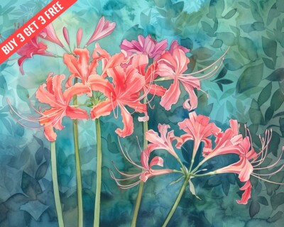  Lycoris Spider Lily in a garden Watercolor 8x10 Print