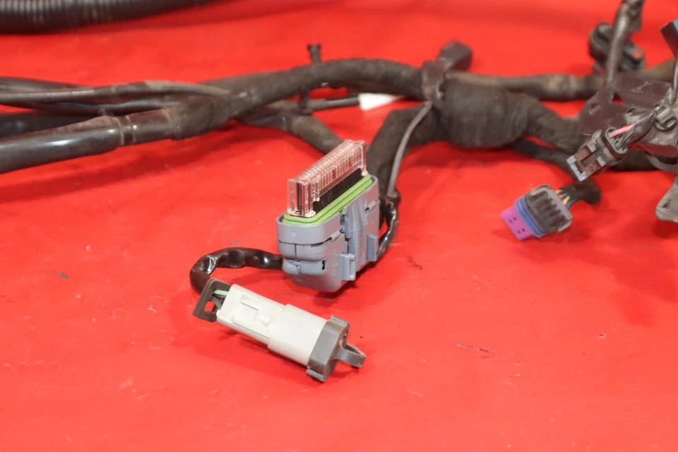 Harley-Davidson Dyna Low Rider FXDL 2007 arnés de cableado principal telar de alambre sin cortar Foto 4 de 4