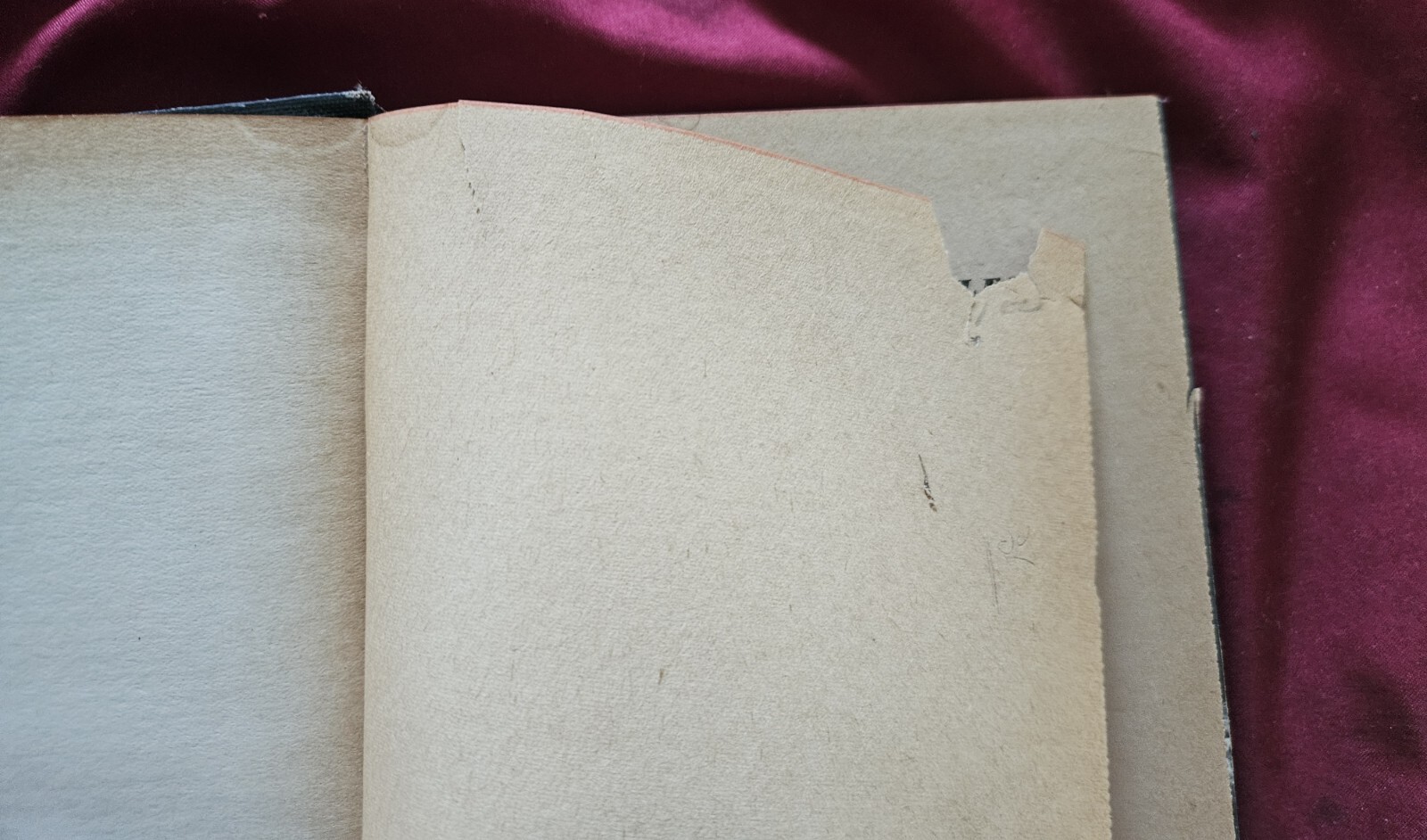 Picture 4 of 12