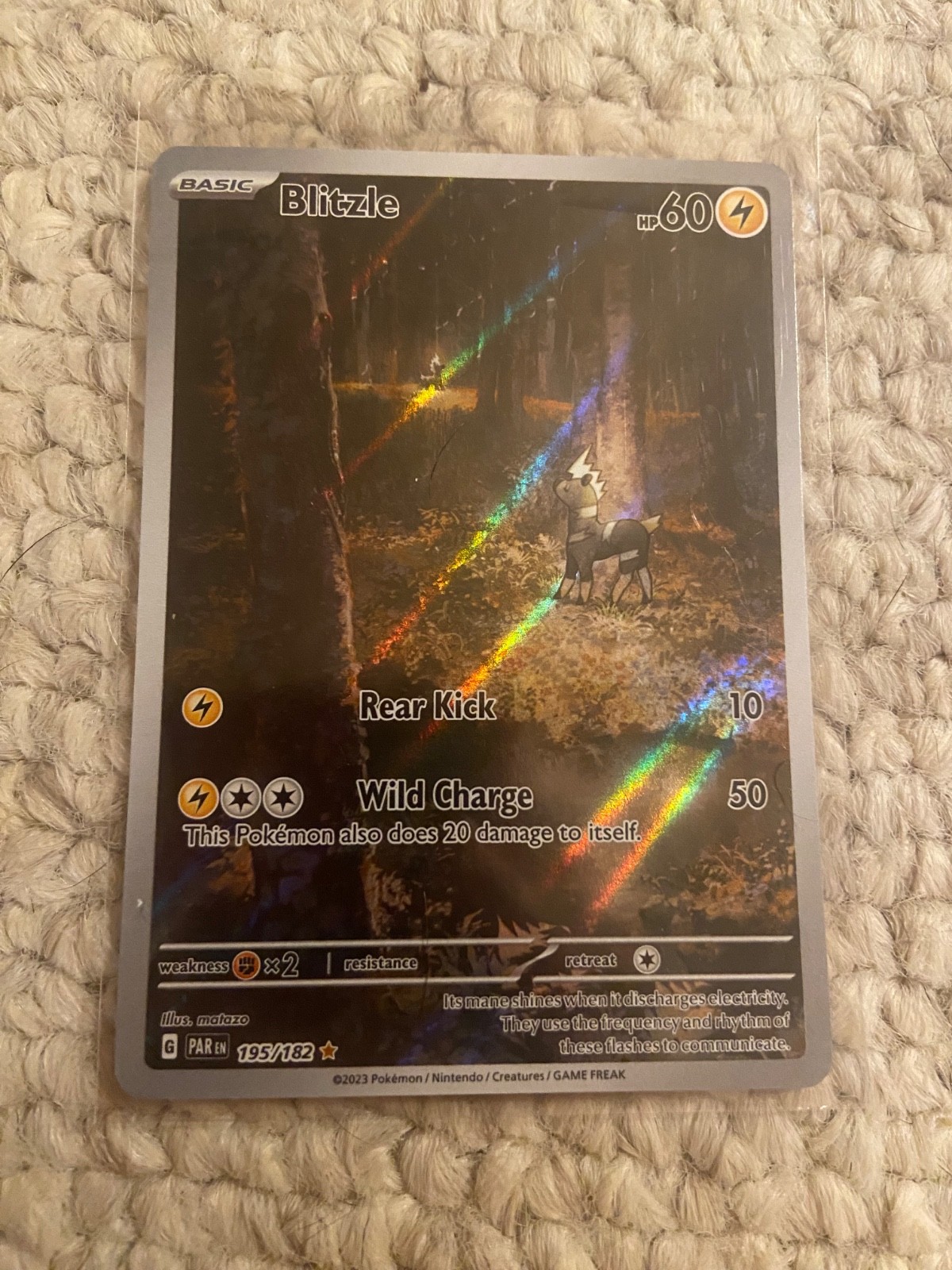 Pokemon TCG Card Blitzle 195/182 Paradox Rift Illustration Rare Holo - Near Mint