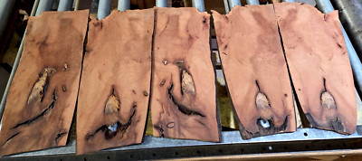 FIVE (5) PIECES EXOTIC SANDED THIN CHARACTER WOOD LUMBER 21'' X 8''-9.5'' X 1/4''