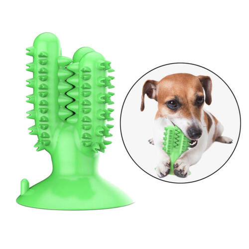 Durable Dog Chew Toys Teeth Clean Toothbrush Oral Dental Care Bite Resistant - Picture 1 of 4