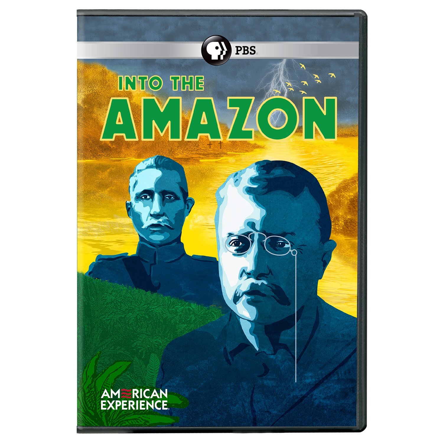 American Experience: Into the Amazon (DVD)