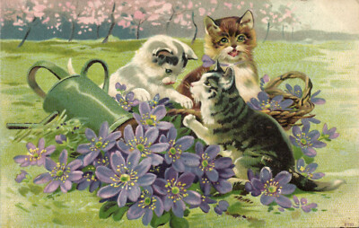 PC KATZEN, KATZEN SPIELEN ZWISCHEN LILA BLUMEN, Vintage PRÄGTE POSTKARTE (B47027)