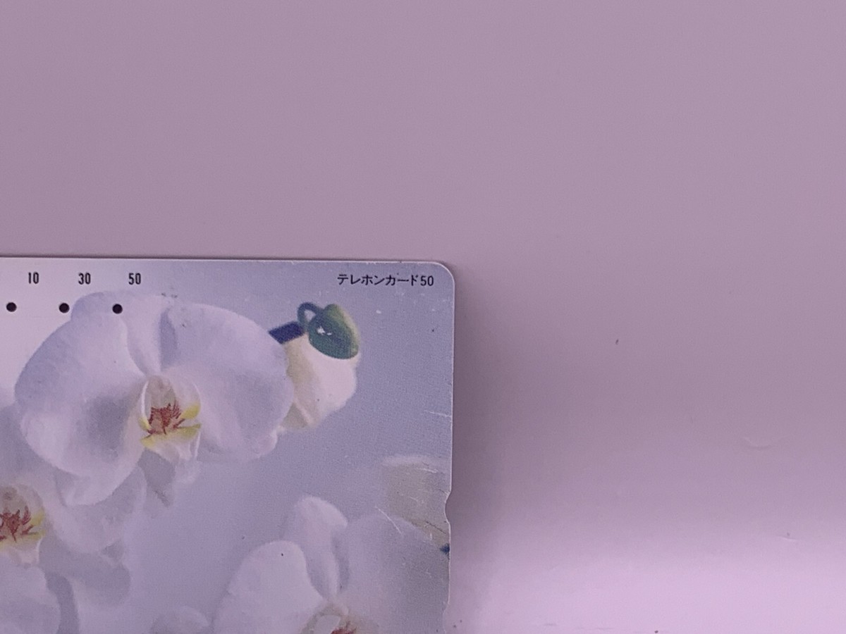 Flower Japanese Used Telephone Card Made in Japan Japan Japanese