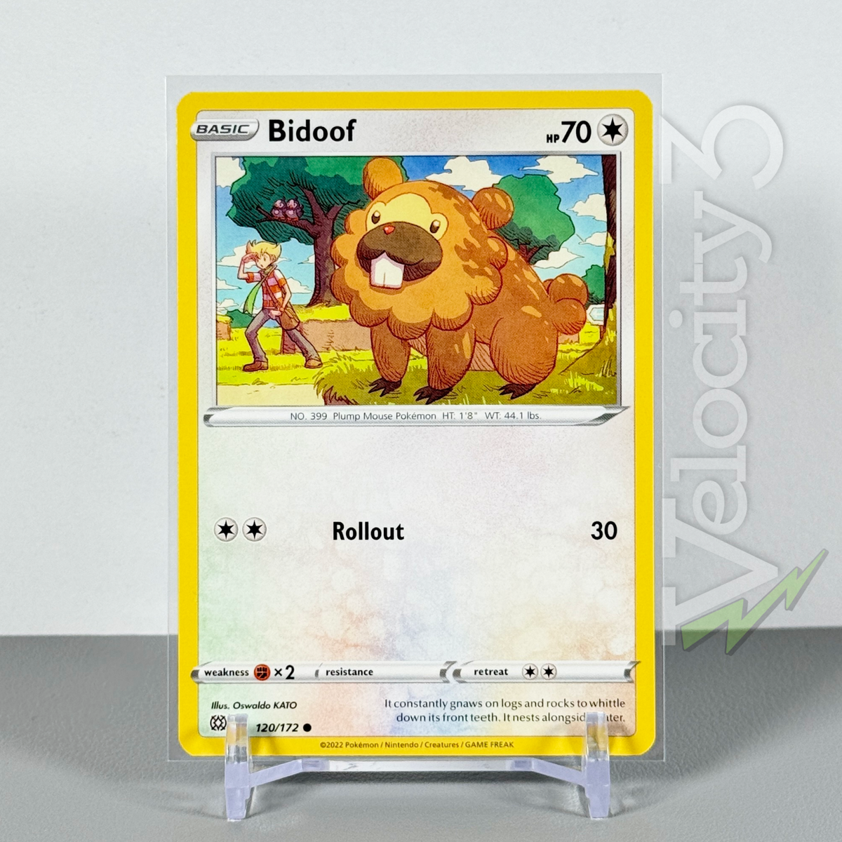 bidoof pokemon cards Custom Painted Card Ability Carefree Countenance As long as this Pokmon is on your Bench Bidoof 120 - Reverse Holofoil
