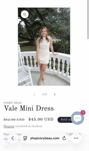 Ivory Beau Ivory Lace Mini Dress Crew Neck Sleeveless Zip Floral Sequin M
