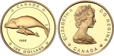 Kanada 100 Dollar Gold 1988 Grönlandwal 1/4 oz Polierte Platte PP, Proof  139981 - Bild 1 von 3